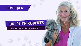 Holistic Dog Care Summits Day 2 Live Q&A