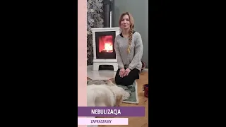 Jak przygotować psa do nebulizacji? Z dr Agatą Kokocińską