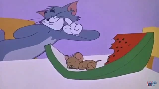 Tom and Jerry Episode 135 Latest Cartoon Kids New 2020 Comdey Funny Episode  || WorldWide Popular