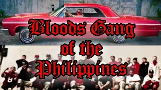 Bloods Gang of the Philippines | Filipino Gang | Pinoy Bloods