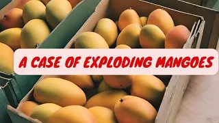 A Case of Exploding Mangoes| Mohammed Hanif| PG S2 World Literature