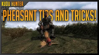 TheHunter Classic: Pheasant tips, tricks and guide.