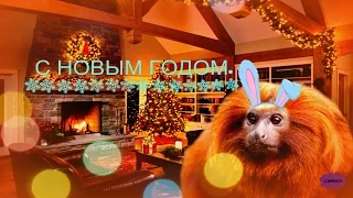 С НОВЫМ ГОДОМ 2016З НОВИМ РОКОМ 2016HAPPY NEW YEAR 2016.☻