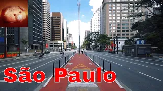 🌴 Сан-Паулу и пора домой