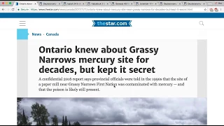RE Grassy Narrows Mercury Site