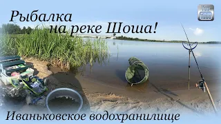 Рыбалка на реке Шоша, Иваньковское водохранилище, деревня Безбородово, Тверская область