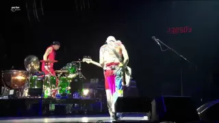 Rhcp cant stop rock am ring 2016