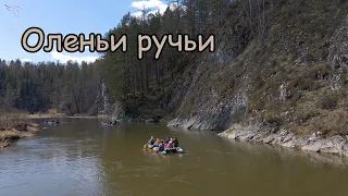 река Серга, Оленьи ручьи обзор с дрона
