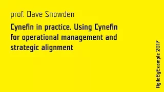 AgileByExample 2017: prof. Dave Snowden - Cynefin in practice