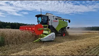 Claas Dominator 370 обзор зерноуборочного комбайна на демопоказе / за Русь !