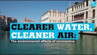 Clearer water, cleaner air: the environmental effects of coronavirus