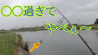 【熊本釣り】デカバス連発！！ピクロ６８Fで秋爆！！