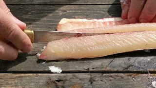 Filleting Northern Pike - Quick, Easy, Boneless