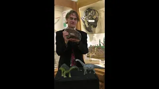 Tate Talk- Camarasaurus