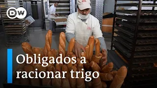 Guerra en el granero del mundo dispara precios del trigo