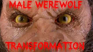 best werewolf transformation - from man to wolf - American Werewolf in London HD