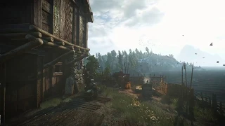 the witcher 3 Skellig ambience and music