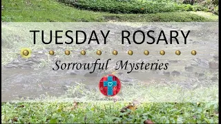 Tuesday Rosary • Sorrowful Mysteries of the Rosary 💜 October 10, 2023 VIRTUAL ROSARY - MEDITATION