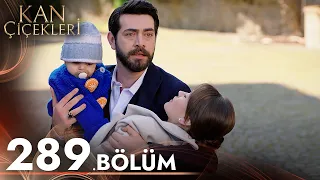 Kan Çiçekleri 289. Bölüm