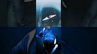 Megalodon VS ORCA , HUMPBACK WHALE