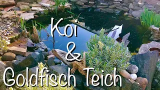 Besuch am Koi & Goldfischteich klein aber fein