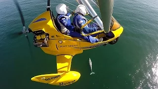 Pacific Blue Air REVO Trike Flight Experience (w/ Epic Whale Flyover!)