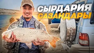 ЗАПРЕТ КЕЗІНДЕ БАЛЫҚ АУЛАУ???😱 САЗАН БАЛЫҒЫН ҚАРМАҚПЕН АУЛАУ. СЫРДАРИЯ ӨЗЕНІ. ҚУЫРДАҚ. FISHING