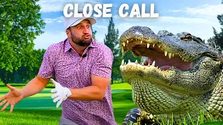 They Had A Scary Encounter With A Massive Alligator On The Golf Course | Moments Of The Week