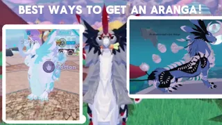 BEST WAYS to get an ARANGA in Dragon Adventures! 🐰// Dragon Adventures Roblox