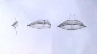 Уроки рисования. Как нарисовать губы карандашом | Art School
