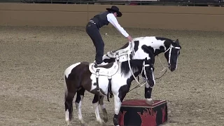 Tommie Turvey Extreme Roman Riding  - Night of the Horse 2015 - Del Mar National Horse Show
