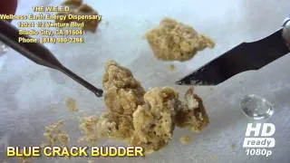 420 PARADISE - BLUE CRACK BUDDER - From THE W.E.E.D  In Studio City CA - Hash Weed Kush BHO