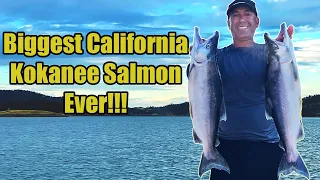 Biggest California Kokanee Salmon Ever! Salmon Fishing Techniques & Adventures on New Melones Lake