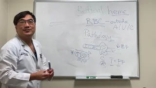 Retinal hemorrhages