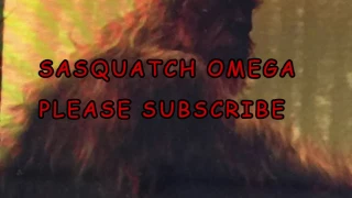 SUBSCRIBE TO SASQUATCH OMEGA