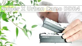 G.Skill Sniper X Urban Camo DDR4-3600MHz, présentation