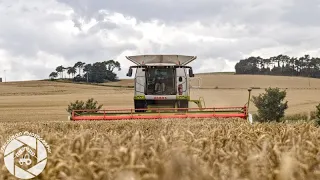 Harvest '23. Claas Lexion 760 in Fife, Scotland.