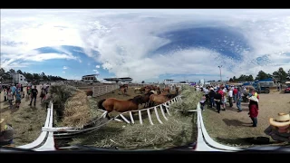 Cheyenne Frontier Days Rodeo (360 VR)