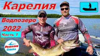 ✅ Водлозеро 2022. Рыбалка в Карелии. Огромные щуки на спин🎣🐟🐟Часть 1. (1-2 день) #Рыболов_Севера