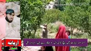 Locusts in manna ziarat Balochistan