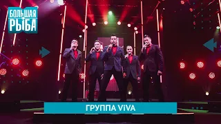 Группа VIVA. Концерт | Живой звук