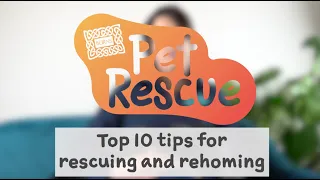 Top 10 Tips for Rescuing and Rehoming | Burns Pet Rescue