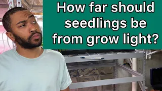 how far should seedlings be from grow light