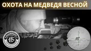 Одобрено Спиридоновым: охота на медведя весной