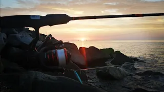 BASS FISHING IN EASTBOURNE - USING ULTRA LIGHT LRF GEAR AT SUNRISE - TONS OF MACKEREL!