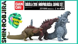 Bandai Movie Monster Series: Shin Godzilla - Morphological Change Set | Review