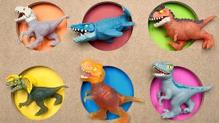 6 Dinosaur Punch Box | T-Rex Mosasaurus Velociraptor Blue