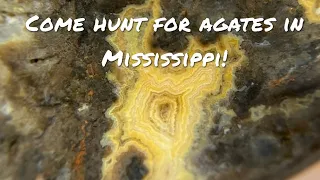 Join us as we hound the MS River and nearby creeks! #agate #rockhounding #rockhunting #mississippi