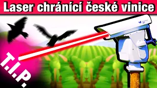 Doručování nákupů dronem/Objev Ostravských vědců/Ekologický přístup Googlu/Ochrana vinic [TIP 211]