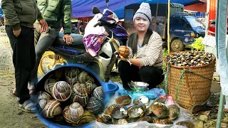 Harvesting 30kg Mussels and Snails Goes to market sell - Cooking | New Free Bushcraft